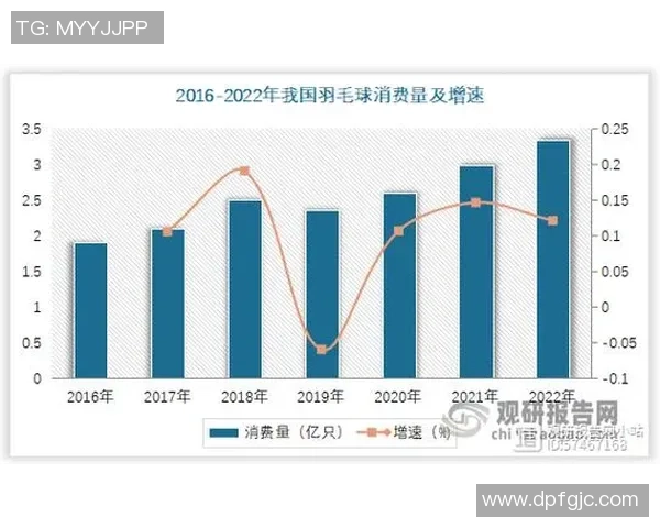 深圳羽毛球队技术对比深度解析与未来发展趋势探讨